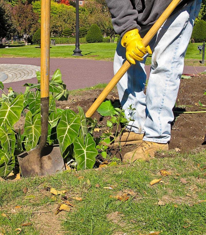 Nous sommes spécialisés dans le jardinage. 